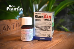 Glacoxan Imida - comprar online