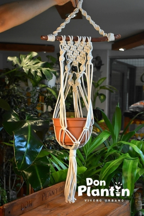 Colgante macramé con tronquito