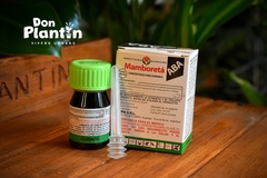Mamboreta ABA - comprar online