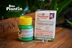 Mamboreta K - comprar online