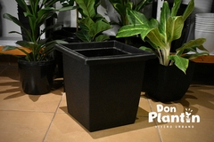 Maceta piramidal - TYA