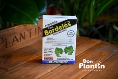 Polvo bordeles