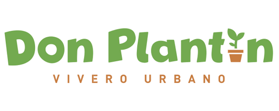 Don Plantín