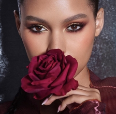 **PRE ORDEN** ANASTASIA BEVERLY HILLS - FALL ROMANCE EYESHADOW PALETTE.