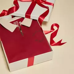 **PRE ORDEN** TAYLOR SWIFT- RED (TAYLOR'S VERSION) I REMEMBER IT ALL TOO WELL ZIP POLO - tienda en línea