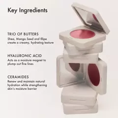 Summer Fridays - Blush Butter Balm Hydrating Cream Blush with Peptides **PRE ORDEN** en internet
