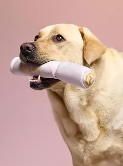 ** PRE ORDEN*Rare Beauty-Pawfect Strokes Mascara Dog Toy - comprar en línea