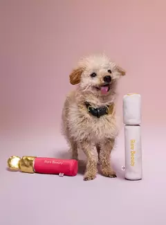 ** PRE ORDEN*Rare Beauty-Pawfect Strokes Mascara Dog Toy - comprar en línea