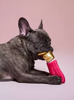 **PRE ORDEN** Rare Beauty- Soft Pooch Blush Dog Toy - comprar en línea