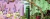 Banner de Beauty Glam by Kar