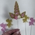Topo Palito Unicórnio Kit 5 Peças EVA Glitter Dourado/Rosa 15 cm Vivarte - Inspire sua Festa Loja - comprar online