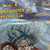 Sacola Surpresa Guloseimas Festa Dragon Ball 8 Un Festcolor - Inspire sua Festa Loja - comprar online