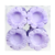 Forminha para doces Margarida CANDY 40 Uni Plac Festas - Inspire sua Festa Loja - comprar online