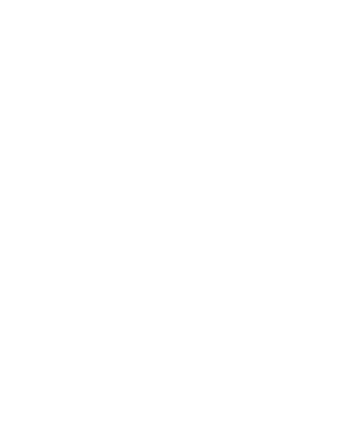 X - TRUST