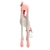 Imagen de Silla de comer con Altura Regulable Felcraft Rosa