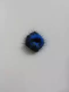 Pompom achatado mesclado 3cm e 3,5 cm (1 unidade) - loja online