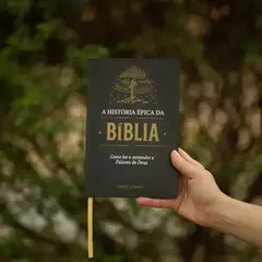 Kit Bíblia Dia e Noite + A História Épica da Bíblia + Você é um Teólogo - loja online