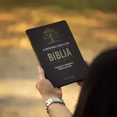 Kit Bíblia Dia e Noite + A História Épica da Bíblia + Você é um Teólogo