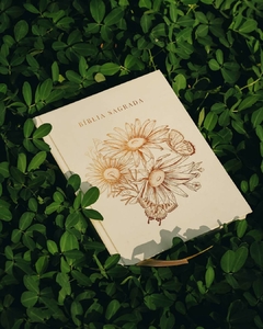 BÍBLIA - Novo tempo - NVI Sua Bíblia de anotação - O Verso da Vida - Editora Cristã