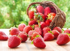 Frutillas - 1 Kg.