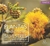 PLANTAS MEDICINALES SILVESTRES TOMO II