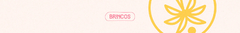 Banner da categoria Brincos