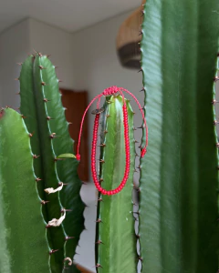 Pulseira Vermelha Slim na internet