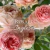 Banner de Rosal Inglés