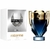 INVICTUS PARFUM (EDP) - DECANT - comprar online