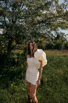 Vestido Mist