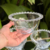 Jogo de Bowl Daisy em Cristal Transparente 4 Peças 480ml 14cm na internet