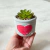 Vasinho Heart Plantinha em Cerâmica 9cm - Guto Decor