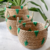 Conjunto de Cestos em Rattan com Detalhes Verde 3 Peças - comprar online