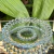 Centro de Mesa / Fruteira Crown 32cm