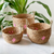 Conjunto de Cestos em Rattan com Detalhes Rosa 3 Peças