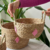 Conjunto de Cestos em Rattan com Detalhes Rosa 3 Peças - loja online