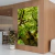 Quadro Arvore Da Vida - comprar online