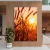 Quadro Capim No Pôr do Sol na internet