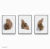 Quadro Folhas Em Tons De Marrom - comprar online
