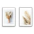 Quadro Capim Dos Pampas - comprar online