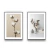 Quadro Flor De Algodão - comprar online