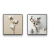 Quadro Flor De Algodão - comprar online