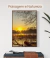 Banner de Domani Decor - Quadros Decorativos