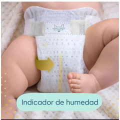 Pampers Deluxe Protection P 36 - tienda online