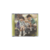 Cd Jonas Brothers - The Family Business