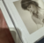 Cd Taylor Swift - The Tortured Poets Department + Bonus Track "But Daddy I Love Him (Acoustic Version)" *OUTLET na internet