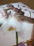 Vinil Kali Uchis - Orquídeas (Target Edition) *OUTLET - loja online
