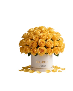 Box com Rosas
