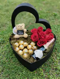 Coração apaixonado 01