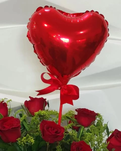 Combo Apaixonado na internet